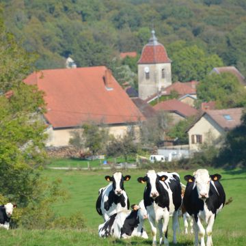 EN COURS : Révision du plan local d’urbanisme