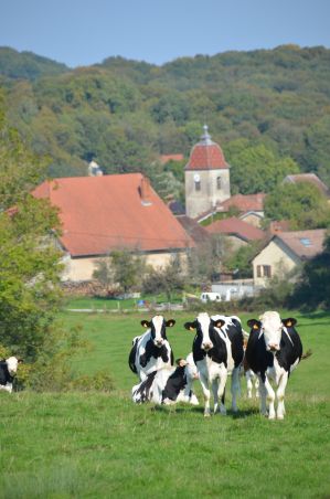 EN COURS : Révision du plan local d’urbanisme